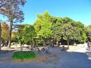 清澄公園(公園)まで626m ﾒｲｸｽﾃﾞｻﾞｲﾝ 門前仲町GARDEN(902)