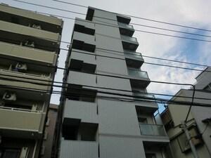 ｽﾃｰｼﾞﾌｧｰｽﾄ白山Ⅱ（703）