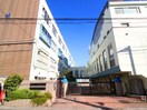 目黒区大鳥中学校(中学校/中等教育学校)まで250m 不動ＨＥＩＧＨＴＳ