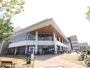 アピタテラス横浜綱島店(ショッピングセンター/アウトレットモール)まで125m スプリングス日吉
