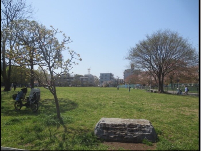 城北中央公園リンゴ広場(公園)まで326m ハイツ氷川台