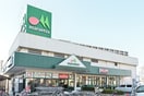 マルエツ　与野店(スーパー)まで497m スターハイム大宮桜木町