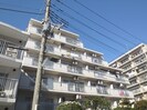 ﾌﾛﾘｰﾄﾞ梶ヶ谷ｽｶｲﾏﾝｼｮﾝの外観