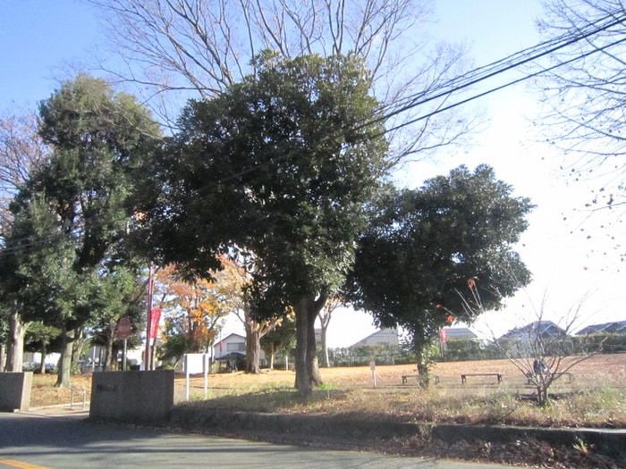 白百合公園(公園)まで110m レフィナ－ドＥ