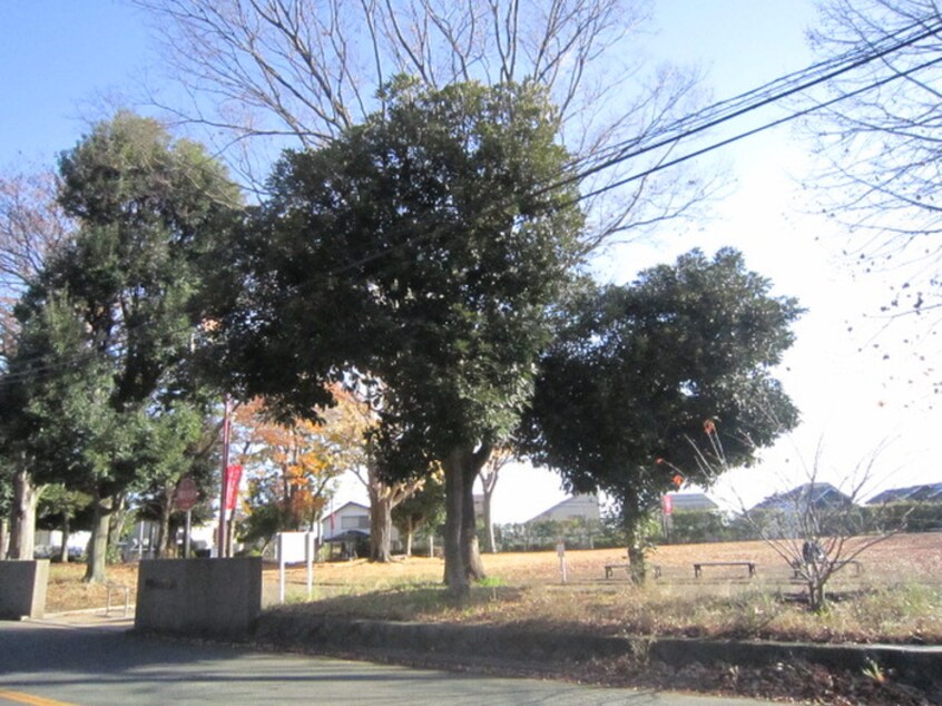 白百合公園(公園)まで110m レフィナ－ドＥ