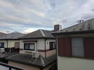 周辺環境 仮）安行領根岸貸家