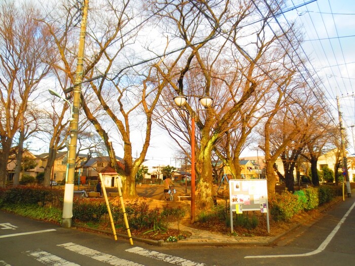 谷保第５公園(公園)まで350m ウエストテラス