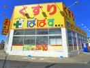 ドラッグぱぱす 島根店(ドラッグストア)まで455m サンテラス西新井