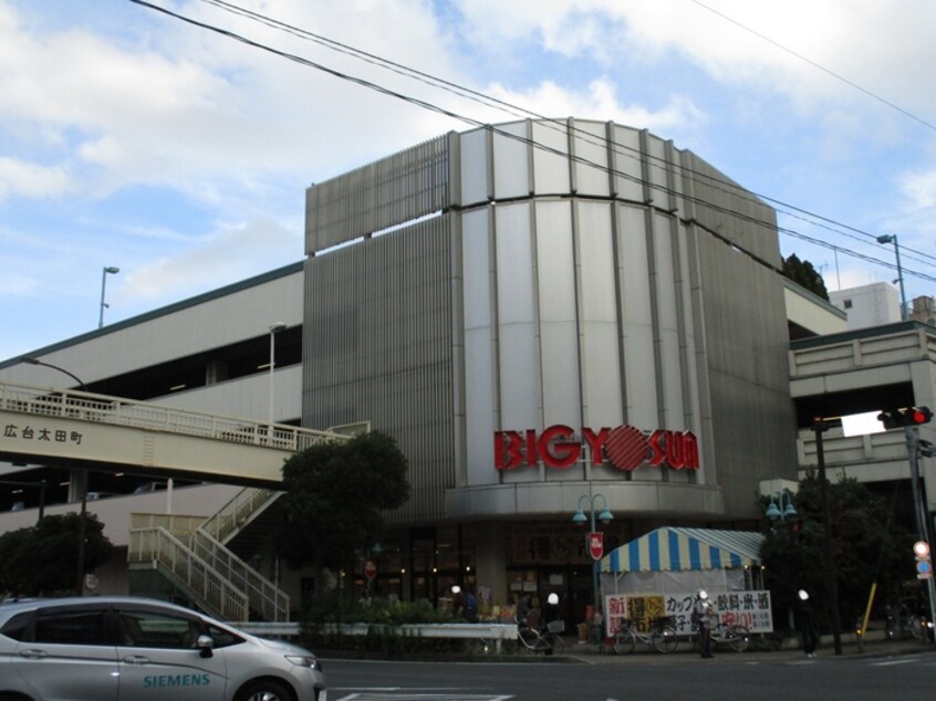 ビッグヨーサン 東神奈川店(スーパー)まで697m マツモトビル