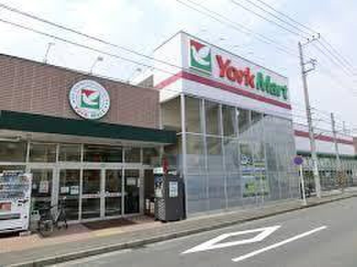 ヨークマート港北店(スーパー)まで168m サニ－ハイライズ
