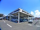 ジョイフル本田(電気量販店/ホームセンター)まで1060m ウィンビュ白金