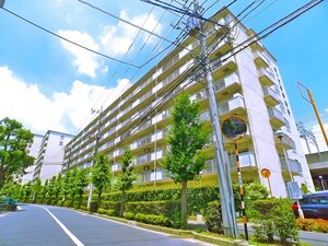 コープ野村梅島（508）