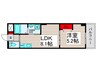 ルミエール高野 1LDKの間取り