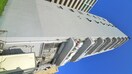 外観写真 ひばりマンション（502)