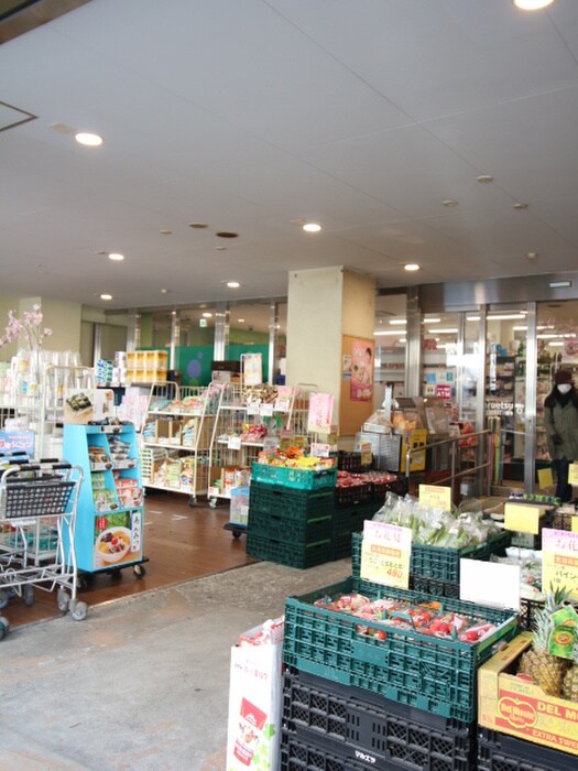 マルエツ プチ 小伝馬町駅前店(スーパー)まで235m パークアクシス小伝馬町