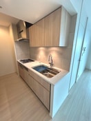 キッチン WORLD TOWER RESIDENCE(2913）