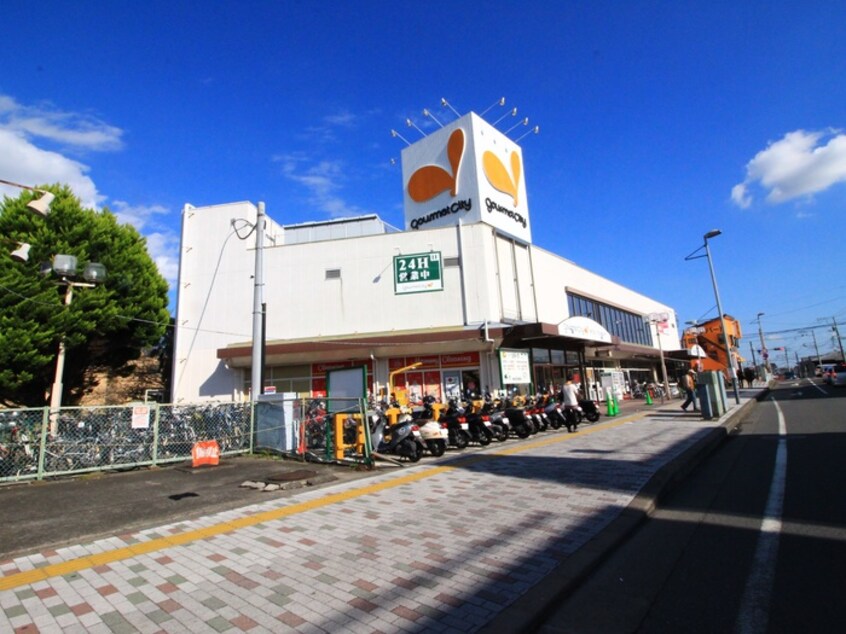 グルメシティ大根店(スーパー)まで1200m 望栄荘