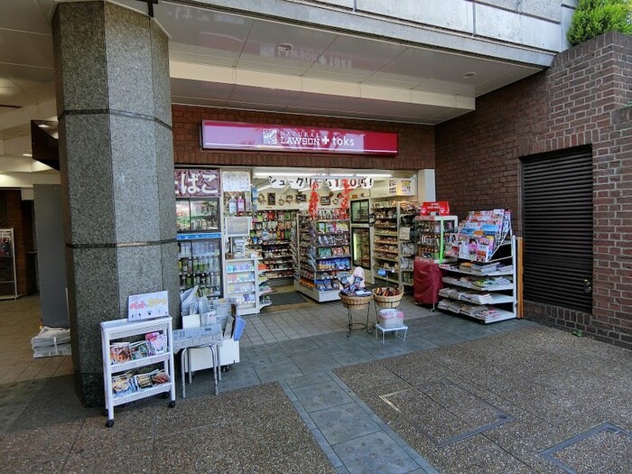 ナチュラルローソン NL+toks田園調布店(コンビニ)まで522m 田園ハウス