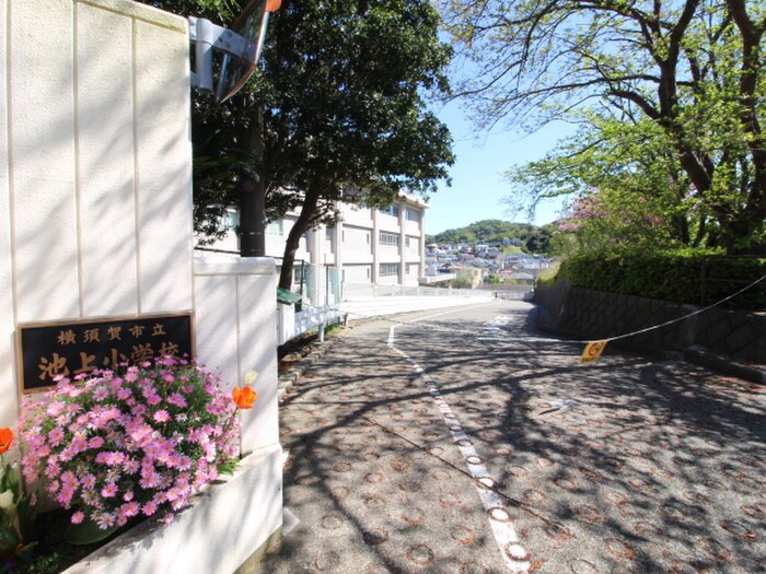 池上小学校(小学校)まで900m ハイツウエスト