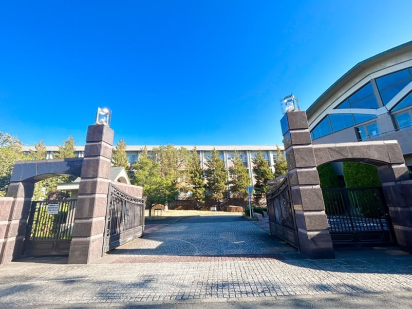 田園調布学園(大学/短大/専門学校)まで500m Ｍ－ＳＴＡＧＥ３