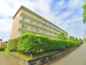 真砂サンハイツ１号棟（５０４）