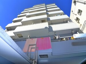 ﾊｲﾑ丸共