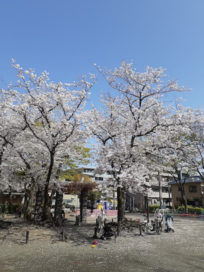 不動下公園(公園)まで140m Ｐｏｒｔｏ　Ｂｌｕ