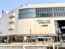 小田急OX(スーパー)まで192m サンシテイ狛江