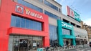ニトリ・ヤマダ電機(電気量販店/ホームセンター)まで1260m サンシテイ狛江
