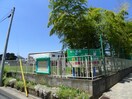 田無いずみ幼稚園(幼稚園/保育園)まで150m サンハイツＮｏ．１