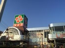 ライフ(スーパー)まで1020m GOD BLESS OMIYA