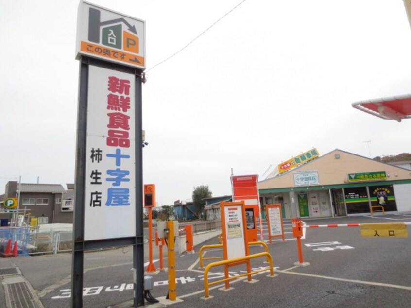 十字屋(スーパー)まで1100m グリ－ンハイム吉澤