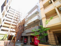 アニマリ－ト峰Ⅲ