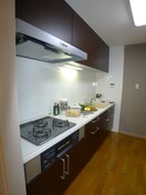 キッチン テレパレス船橋三咲Ｂ棟