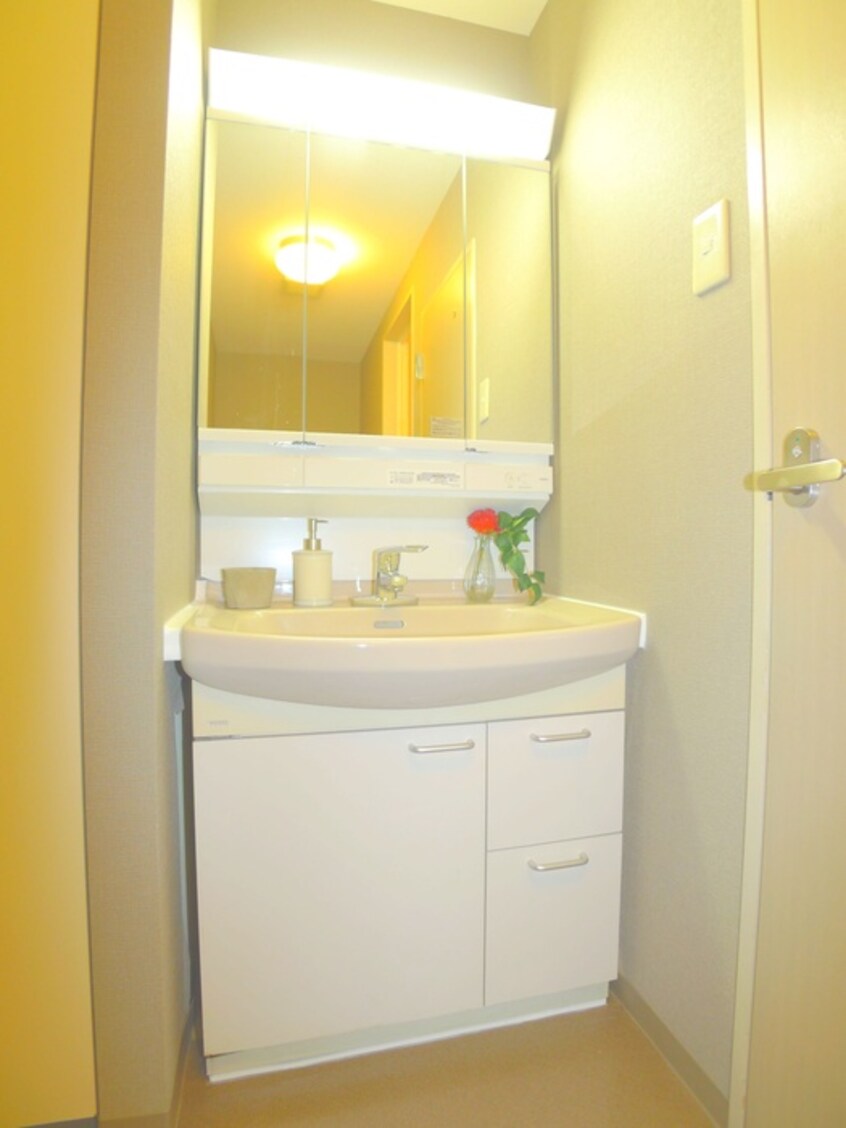 洗面 テレパレス船橋三咲Ｂ棟