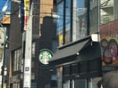スターバックス(カフェ)まで324m 関根荘
