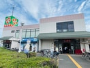 ライフ(スーパー)まで350m 仮）リーブルファイン葛飾西水元