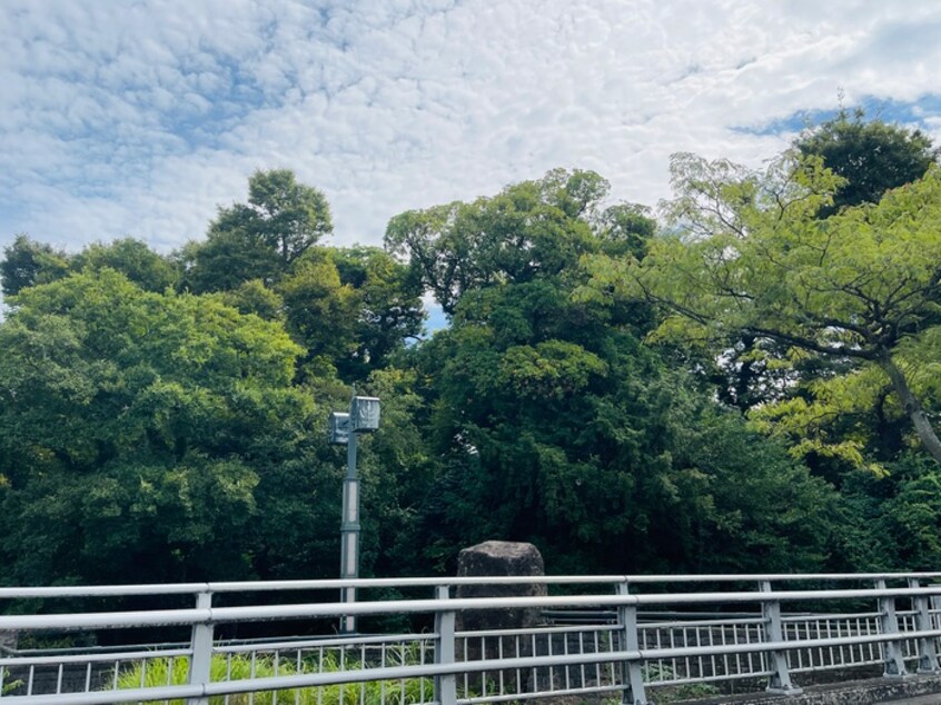 水元公園(公園)まで1300m 仮）リーブルファイン葛飾西水元