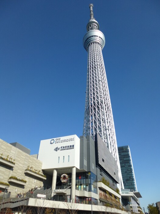 スカイツリー(その他飲食（ファミレスなど）)まで1218m クラウン曳舟