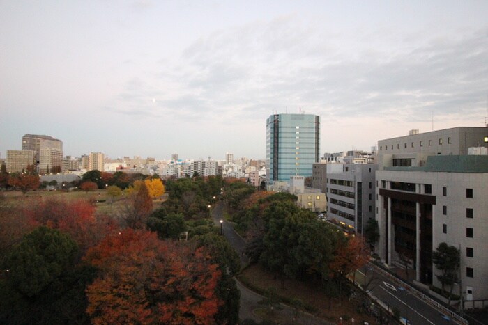 室内からの展望 コンフォリア木場公園