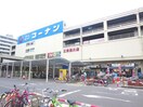 ホームセンターコーナン 江東深川店(電気量販店/ホームセンター)まで611m プライムメゾン清澄白河
