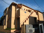 シーガル経堂
