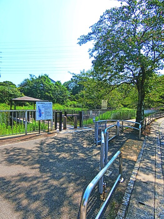 岸根公園(公園)まで550m グリ－ンヒルハルヤマ