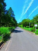 岸根公園(公園)まで550m グリ－ンヒルハルヤマ