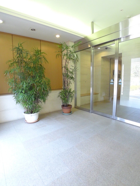 エントランス部分 ミサワホームズ浦和(802)