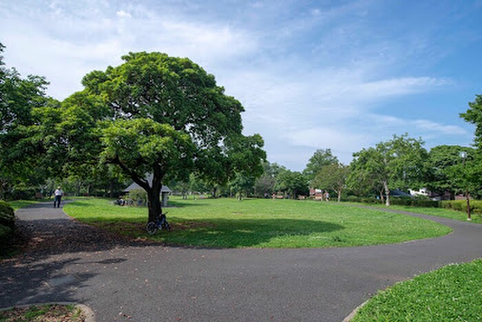 新本牧公園(公園)まで300m Kolet 横浜山手＃０５