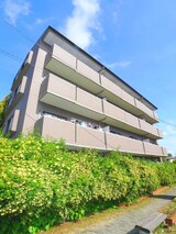 ﾓﾝﾊﾟﾙﾅｽ