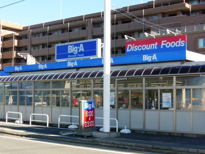 BIG－A(スーパー)まで300m ﾓﾝﾊﾟﾙﾅｽ