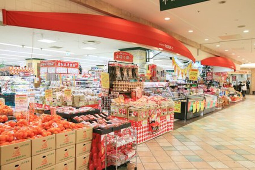そうてつローゼン モザイク港北店(スーパー)まで870m ラックフィル中川Ａ