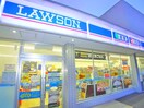 LAWSON(コンビニ)まで260m ルーヴ